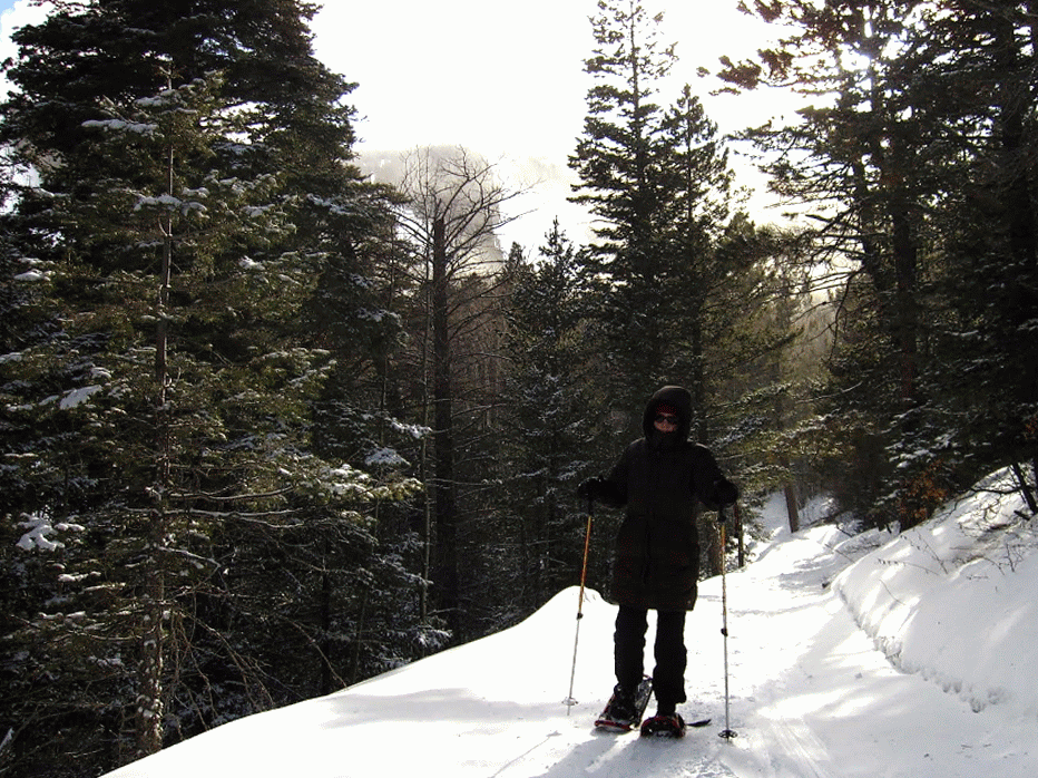 Vicky MundoAfora 2014/01 2014/02