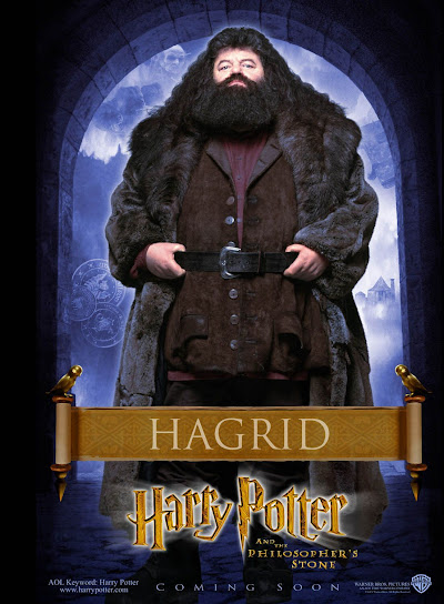 Harry Potter and the Sorcerer's Stone (2001) #09 - Hagrid