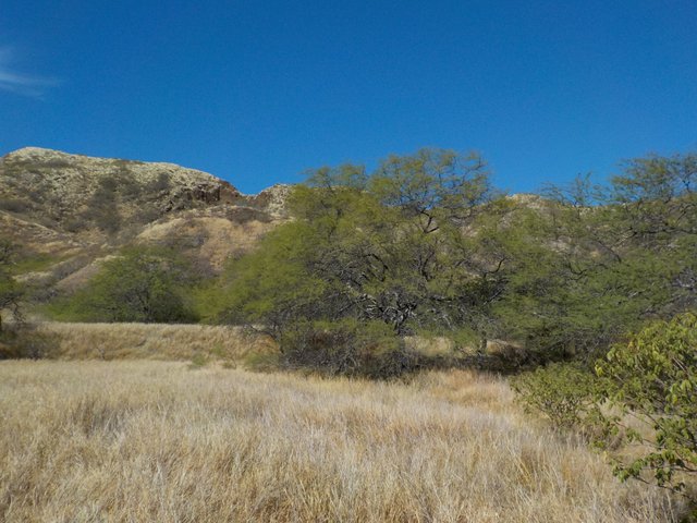 Diamond Head Honolulu