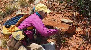 field geologist at work