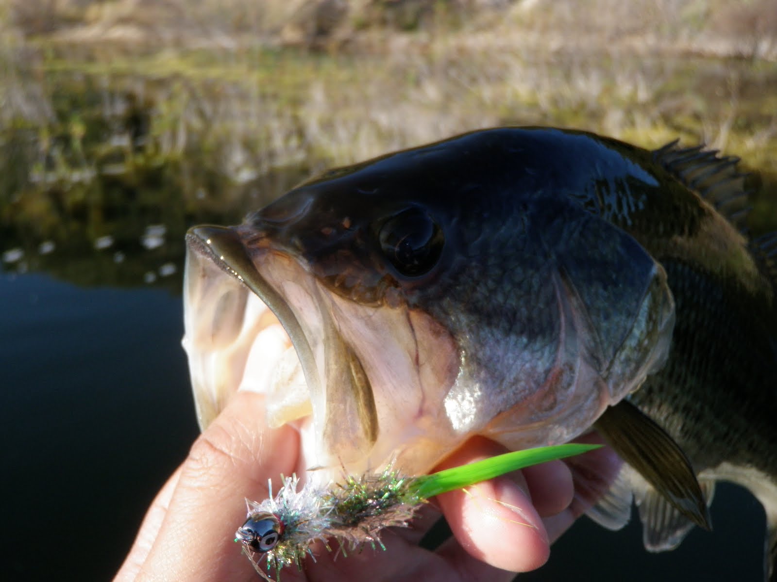 The Gourmet Sportsman: Barrett Lake Tickets Go On Sale Soon