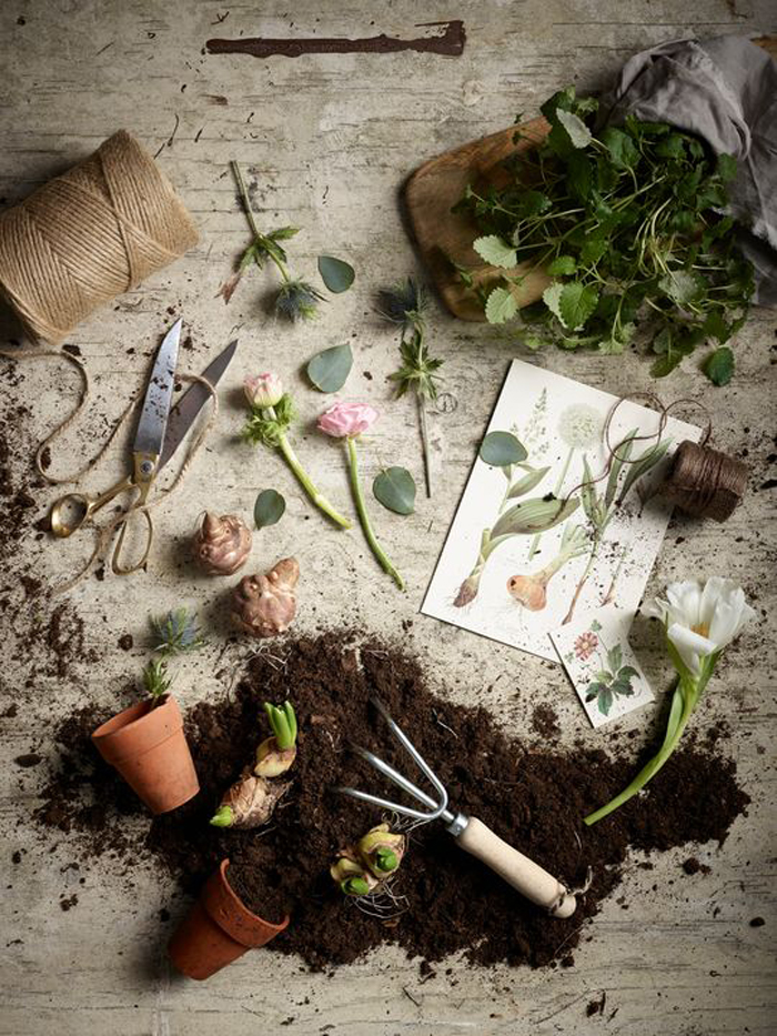 Monday inspiration - botanical vibe for children’s room Monday inspiration - botanical vibe for children’s room