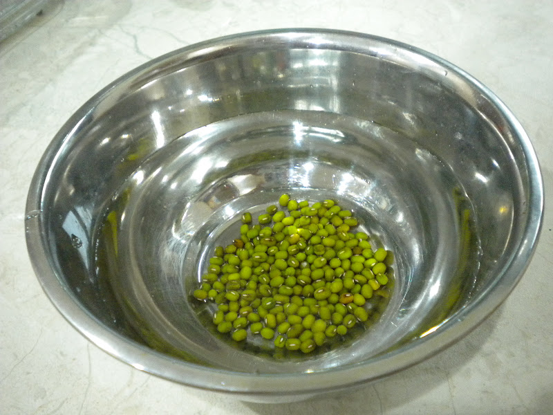 taman ramuan: tanam sendiri taugeh...