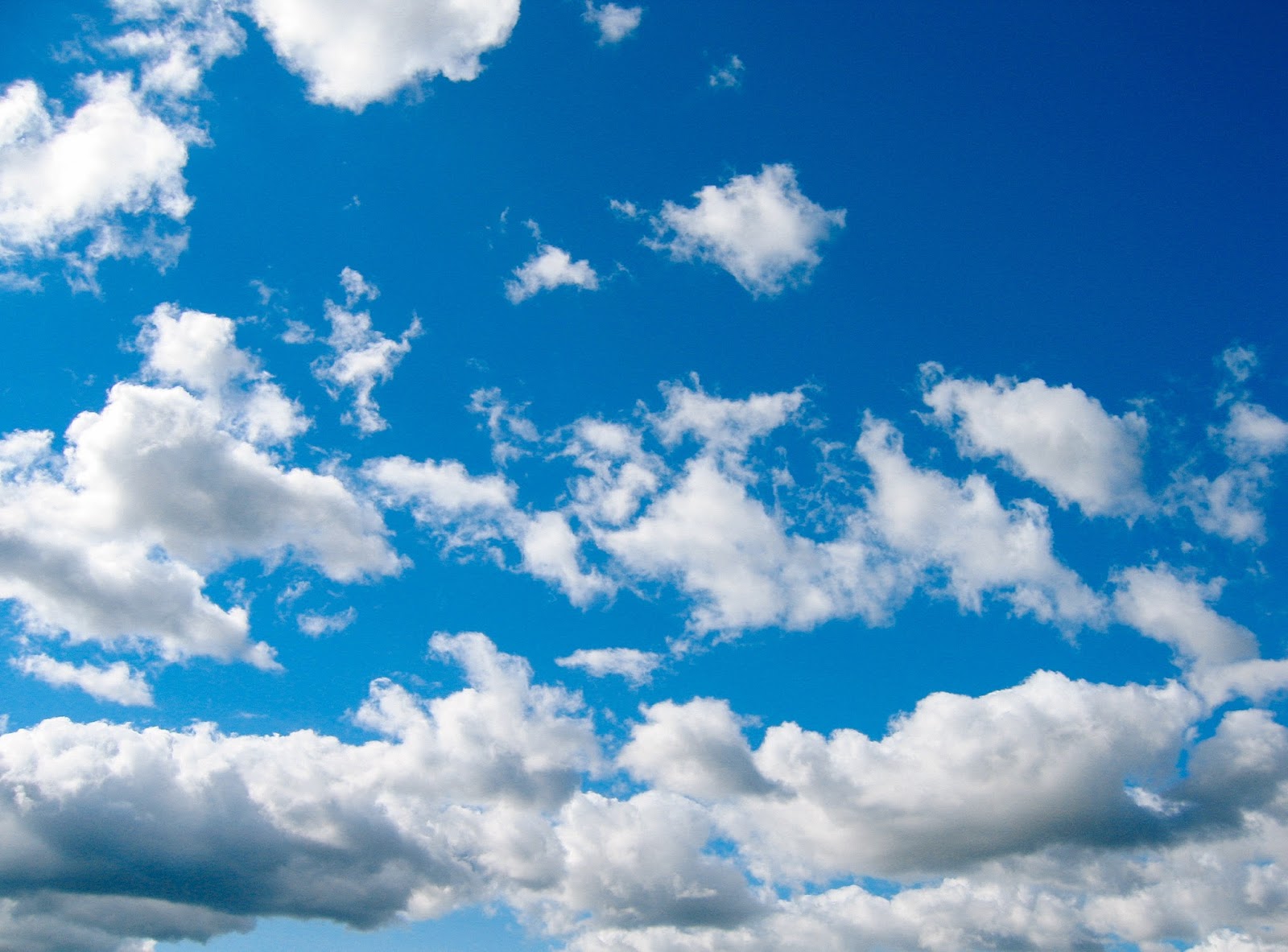 Artfodesign: Photo Design: Bright Blue Sky