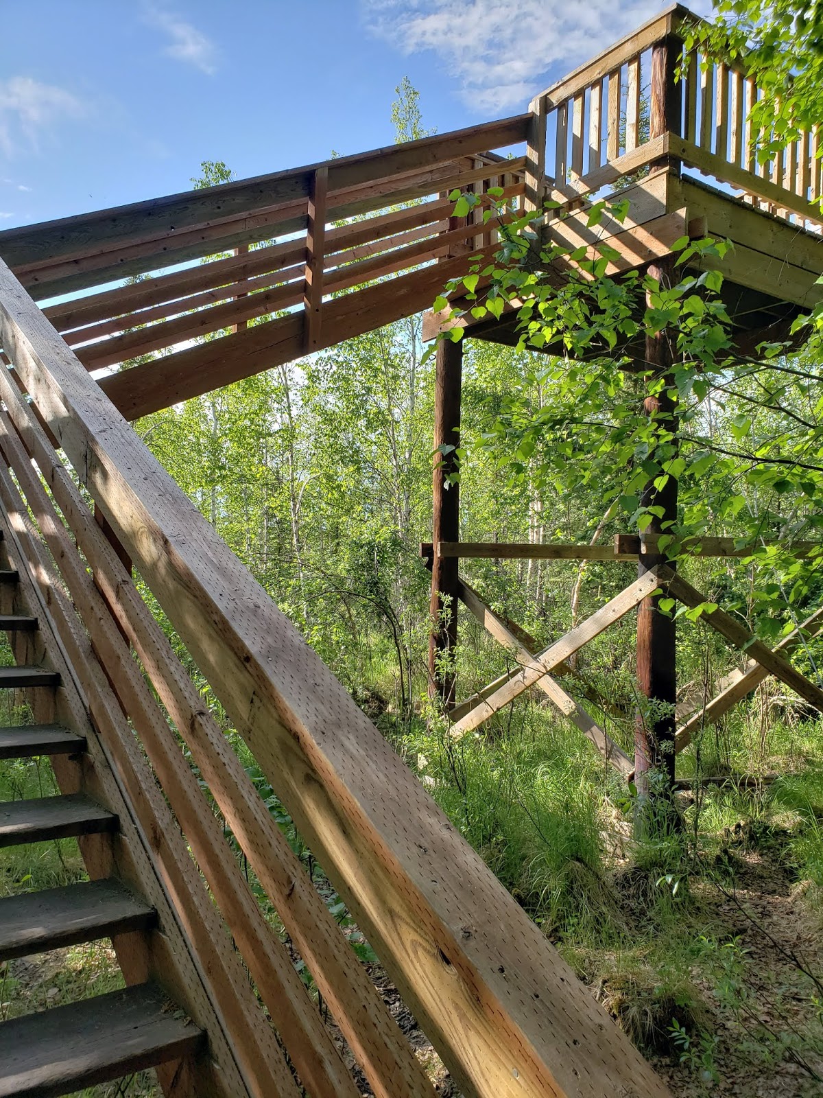 mycoach.loribranin Where to run in Fairbanks, Alaska Creamer’s Field