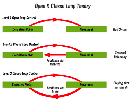 Action Research Arm Test Arat Physiopedia