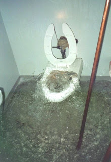 Toilet Overflow