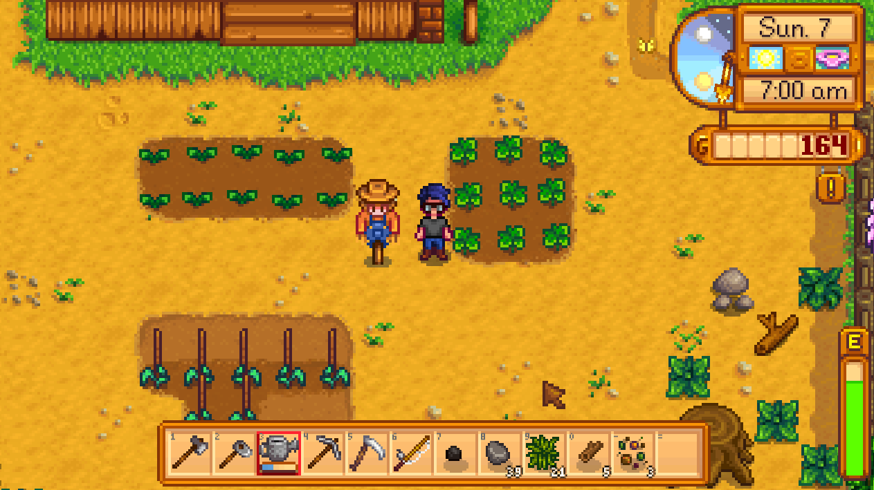 ArrPeeGeeZ Stardew Valley Walkthrough / Guide Seasons Spring