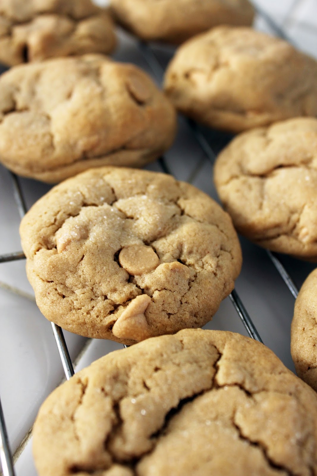 Peanut Butter Cookies With Reese&amp;#39;s Chips | Fresh from the...