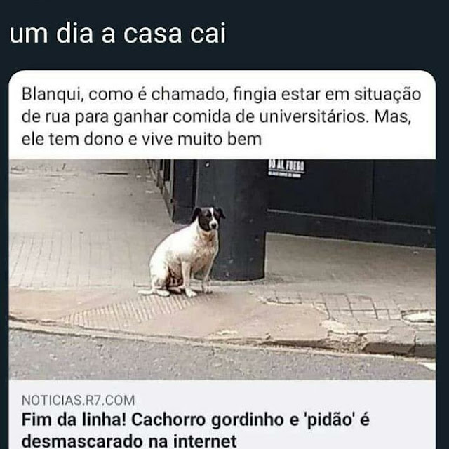 Memes+engra%25C3%25A7ados++%252810%2529.