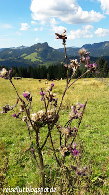 Familienausfluge Mit Kindern Im Allgau 2018