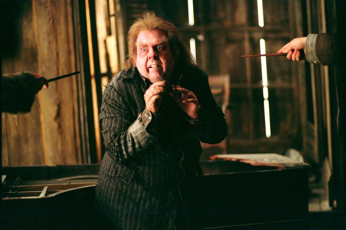 Peter Pettigrew