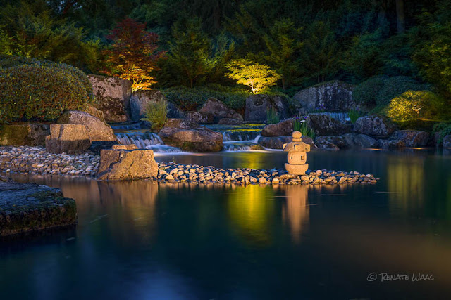 Gartenfotografie bei Nacht  - der Japanische Garten in Augsburg abends mit Gartenbeleuchtung