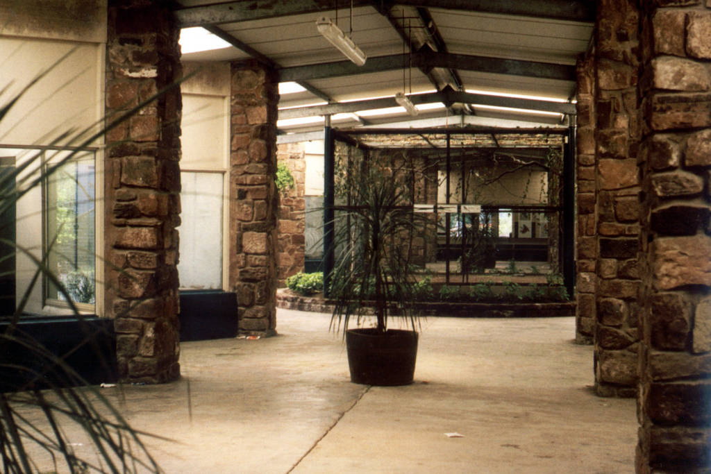 HD Animals parrot house