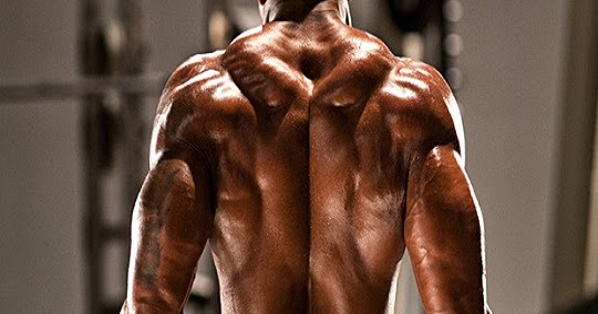 No Weights Needed & 5 Trapezius Exercises ~ www.bodybuilding110.com