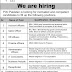 PIXI Pakistan (Pvt.) Limited Islamabad Jobs