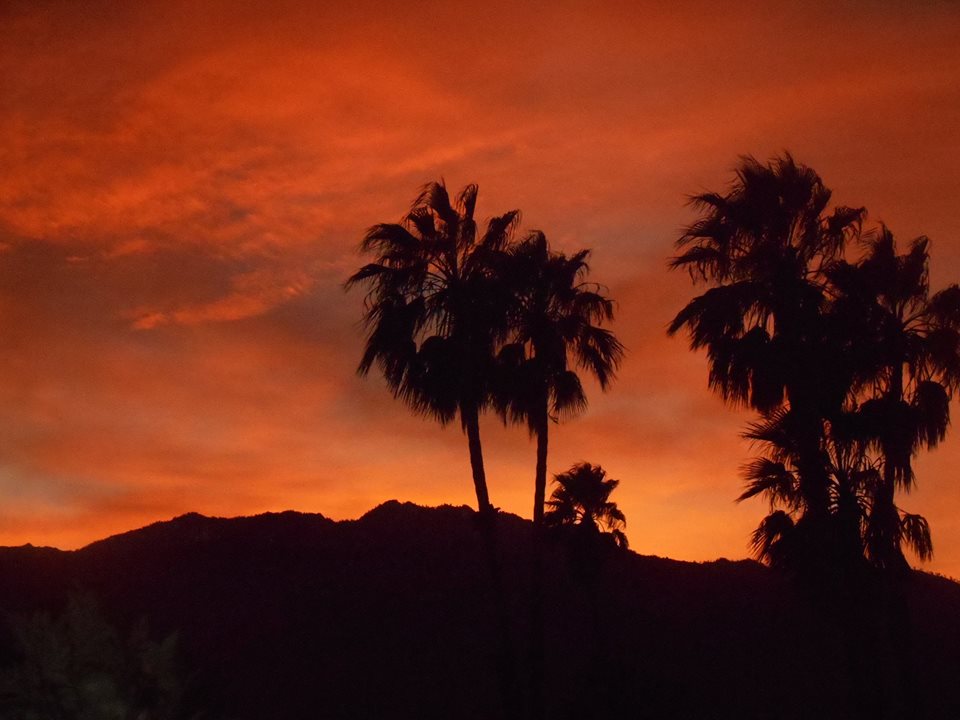 Janice S. A perfect Valentine's sunset in Palm Springs