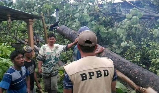 Puting Beliung Tumbangkan Pohon, Satu Remaja Tewas dan Dua Bocah Luka 