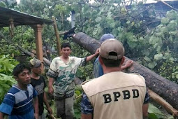 Puting Beliung Tumbangkan Pohon, Satu Remaja Tewas dan Dua Bocah Luka 