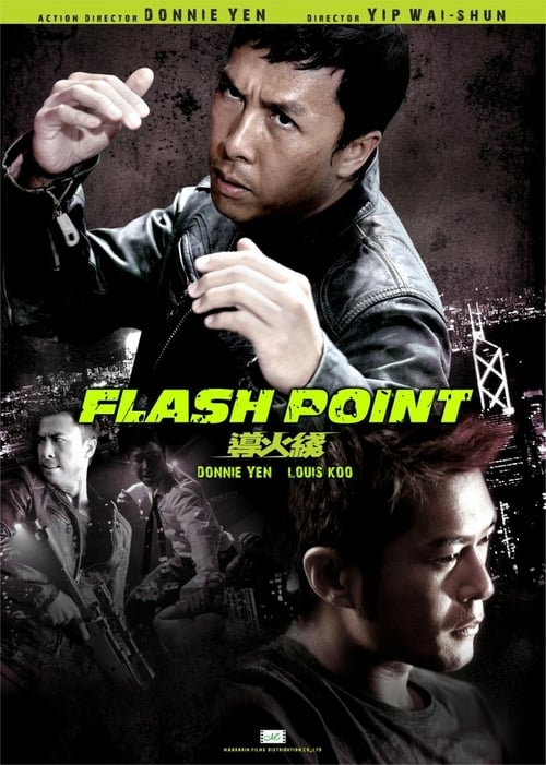 Descargar Flash Point 2007 Blu Ray Latino Online