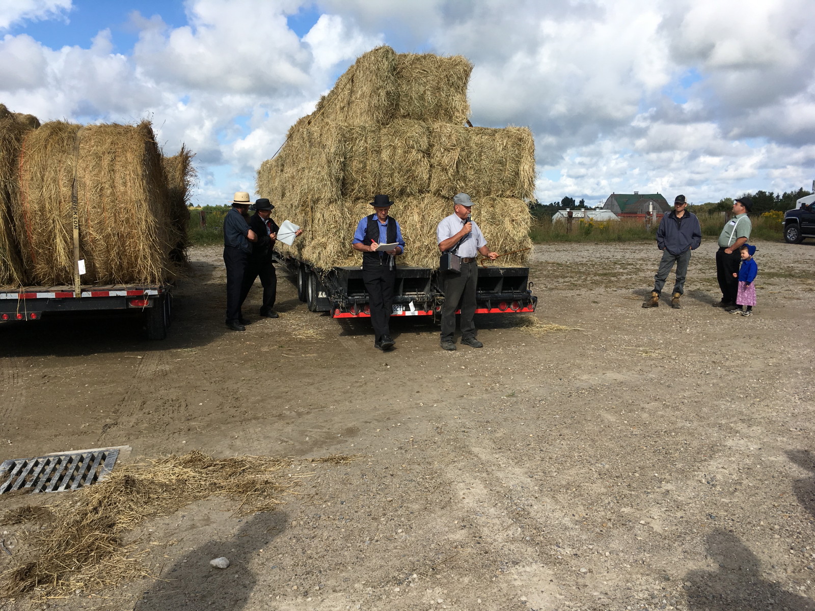 Anja's Photo Journal Elmira Hay Auction