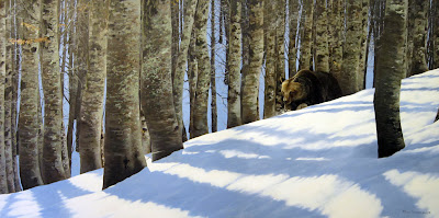 Il risveglio dell’orso