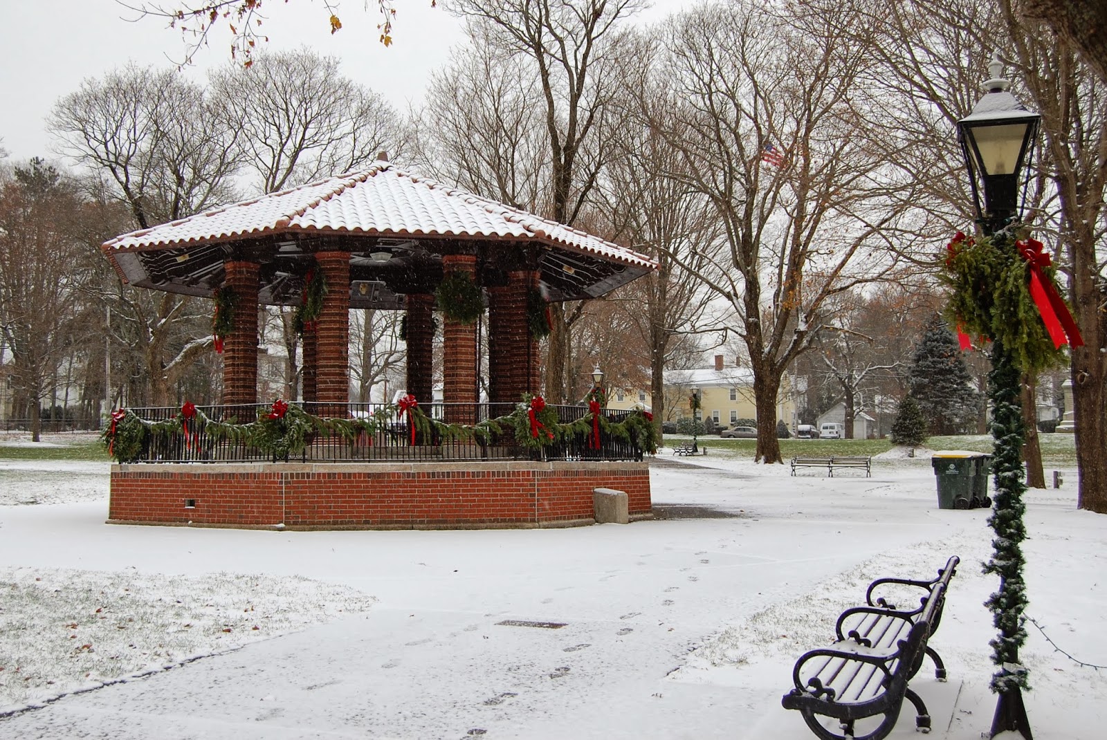 Franklin Town Common (in snow)