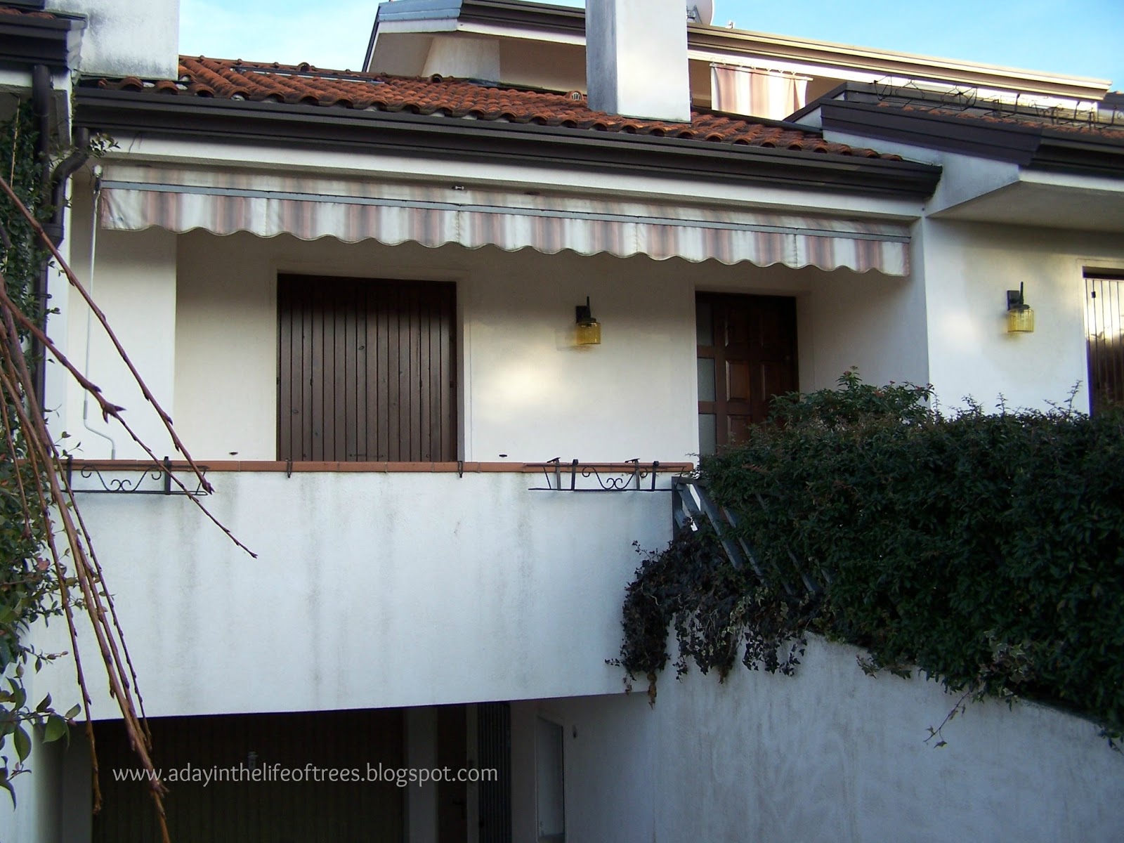 The Life of a Tree Roveredo in Piano, Italy