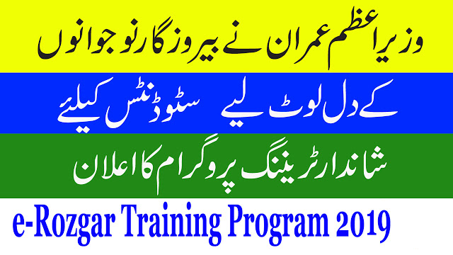  E-Rozgaar Training Program 2019 Youth can Earn Rs 80,000 per month through e-Rozgar Training Program 2019