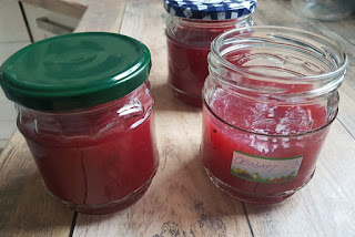 Cranberry - Marmelade in Gläsern