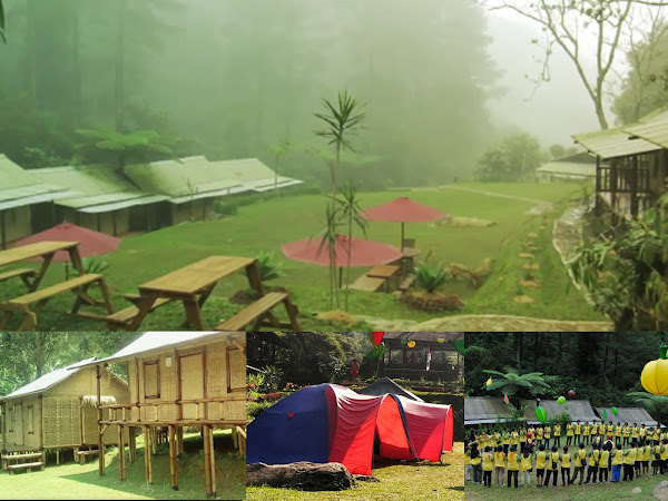 Wisata dalam Kesejukan Alam di D'Jungle Private Camp ...