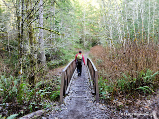 green mountain state forest hikingwithmybrother