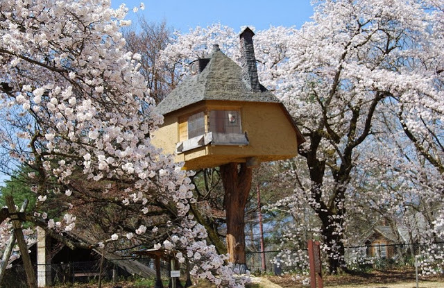 Tree House in Japan