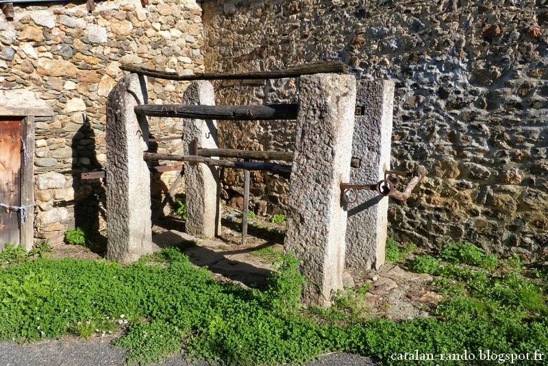 Un Catalan En Rando M tier Ferrer Les Chevaux Et Les Boeufs