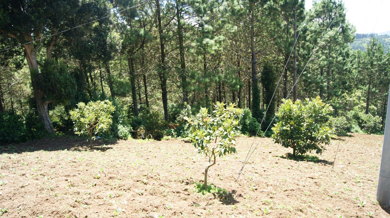 Venta de Terrenos en Miramundo Chalatenango El Salvador Venta Terrenos