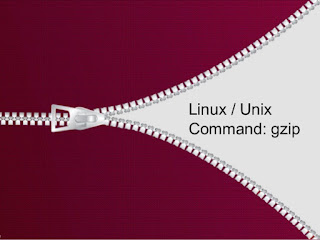 Gzip Command, Linux Tutorial and Material, Linux Certifications, Linux Guides