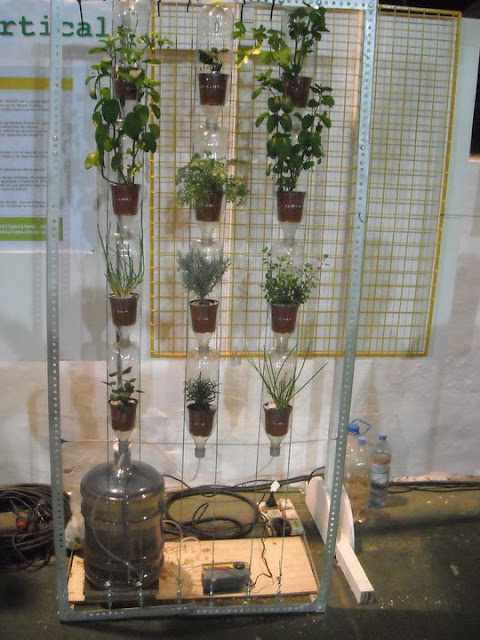 Proyecto Hidroponia Vertical