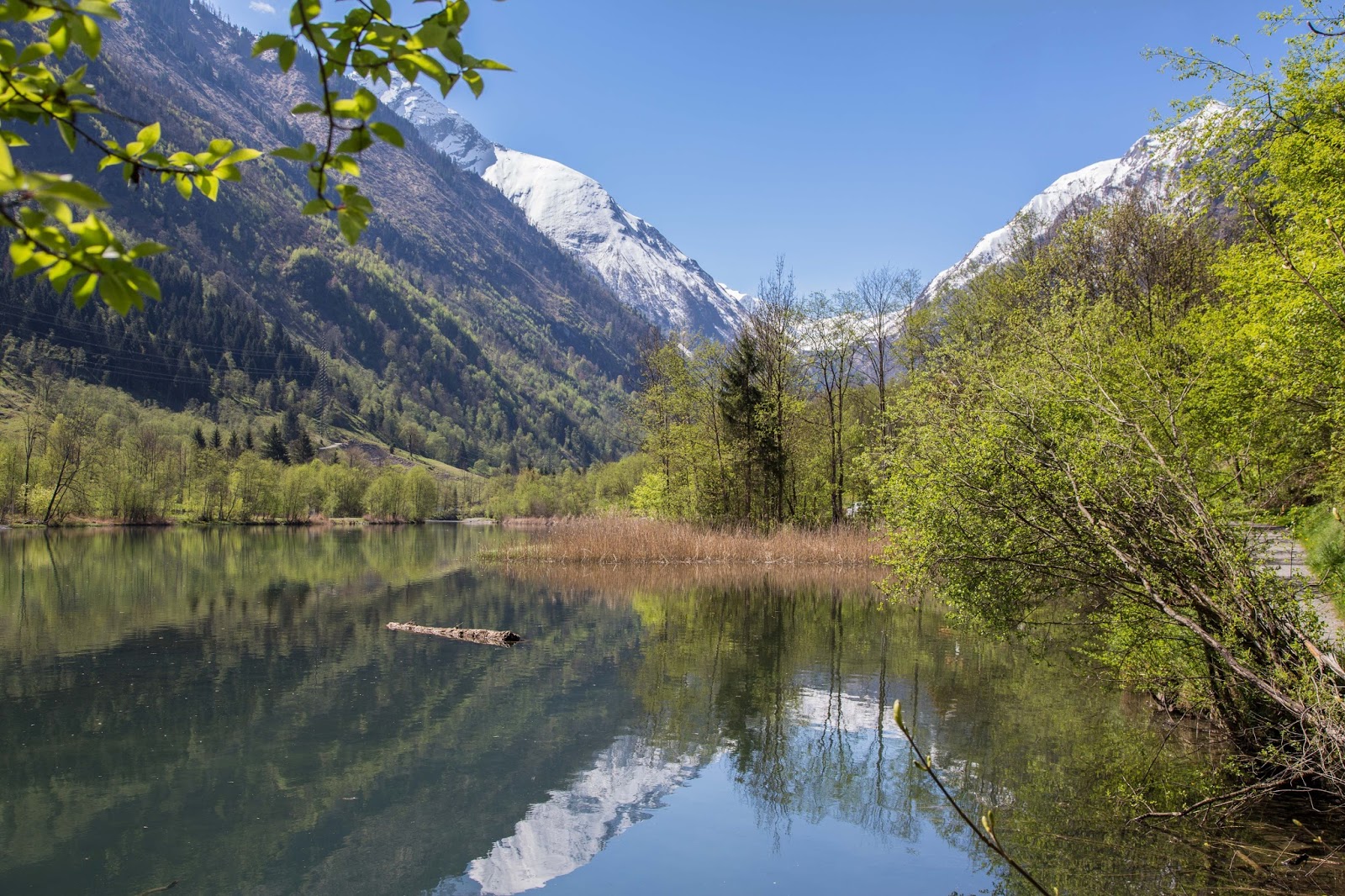 Oldtimer News Page 7 Chan 49461140 Rssing Com