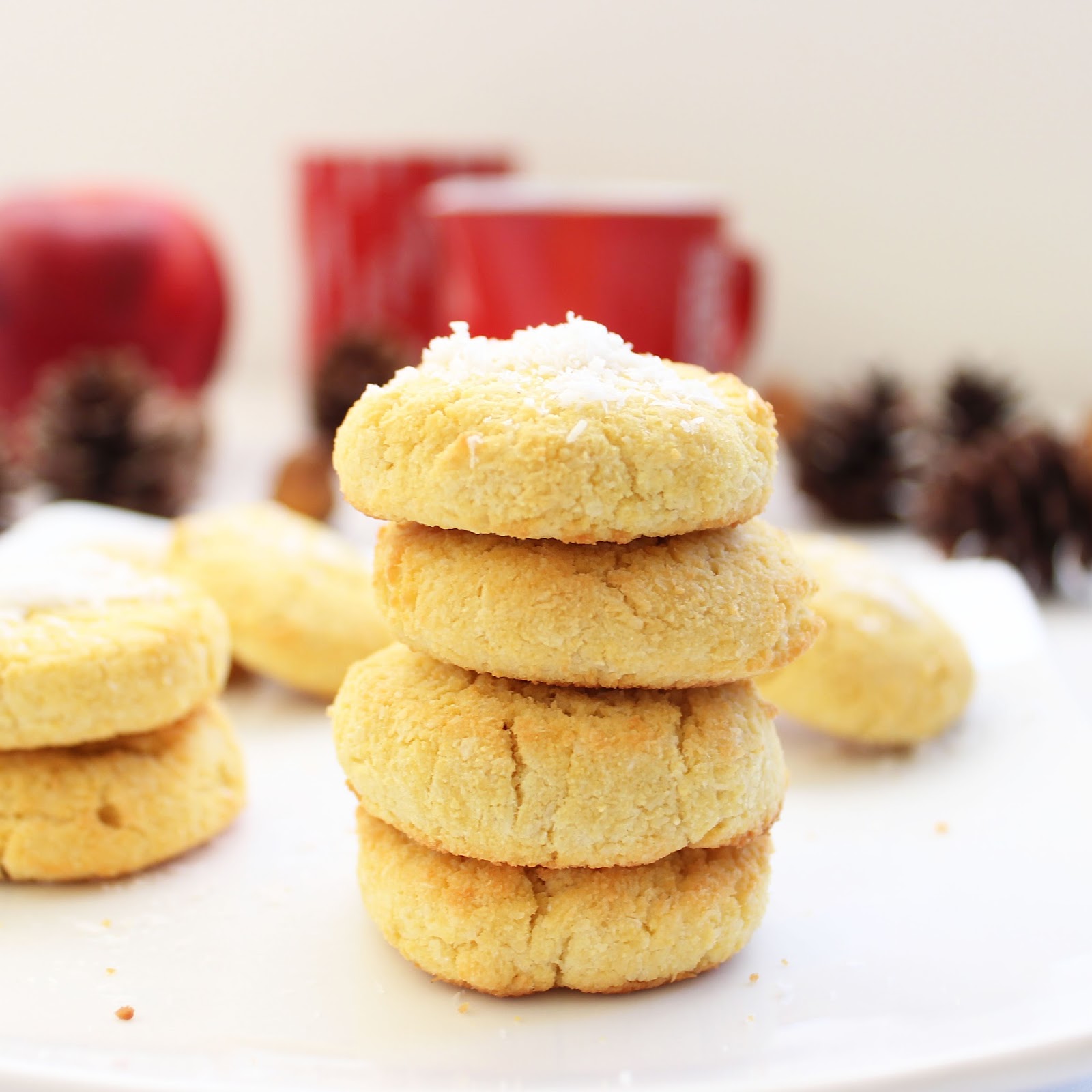 Glutenfree Sugarfree Coconut Cookies = Kokos keksi bez glutena i šećera