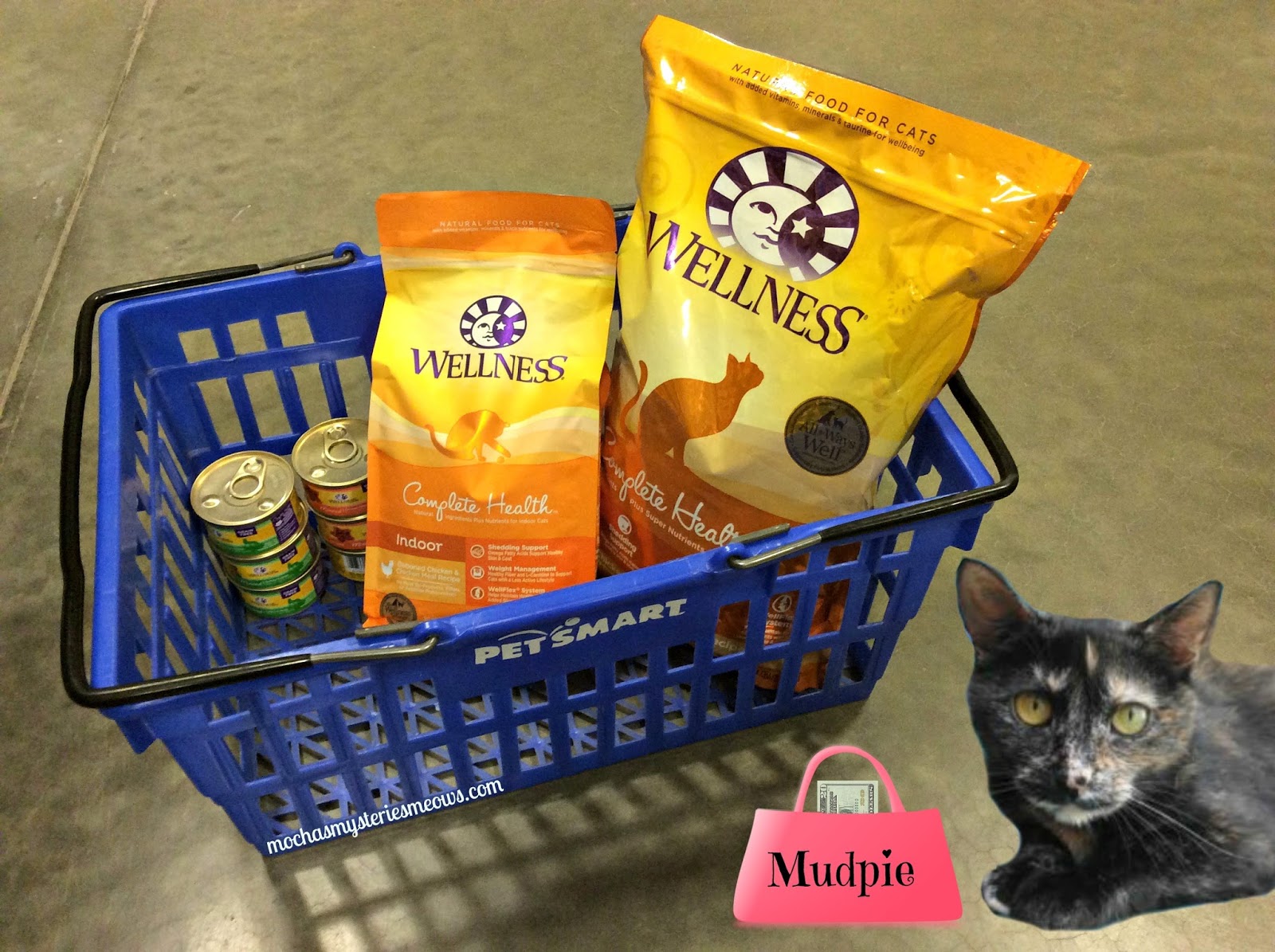 sticky paws petsmart