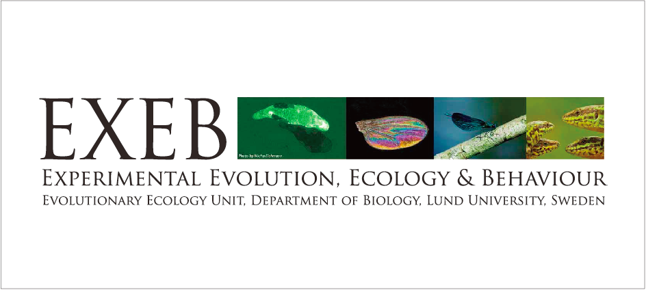 Experimental Evolution, Ecology and Behaviour (EXEB)