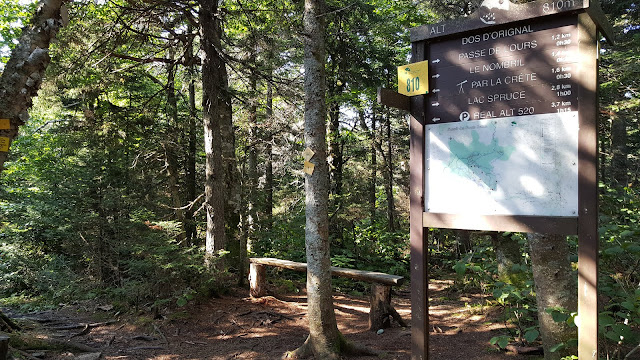 Sommet Dos de l'Orignal Sommet Dos de l'Orignal