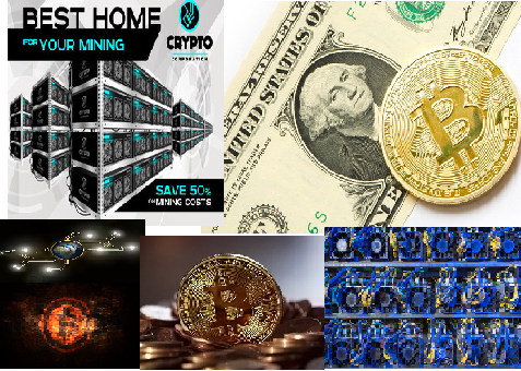 Earn money online bitcoin Earn money online bitcoin