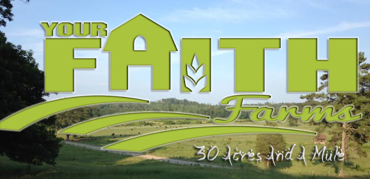 Your FAITH Farms