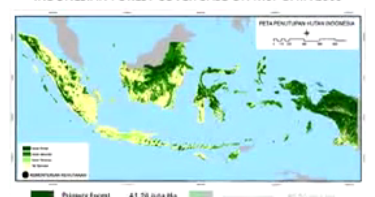 Forex marketiva indonesia