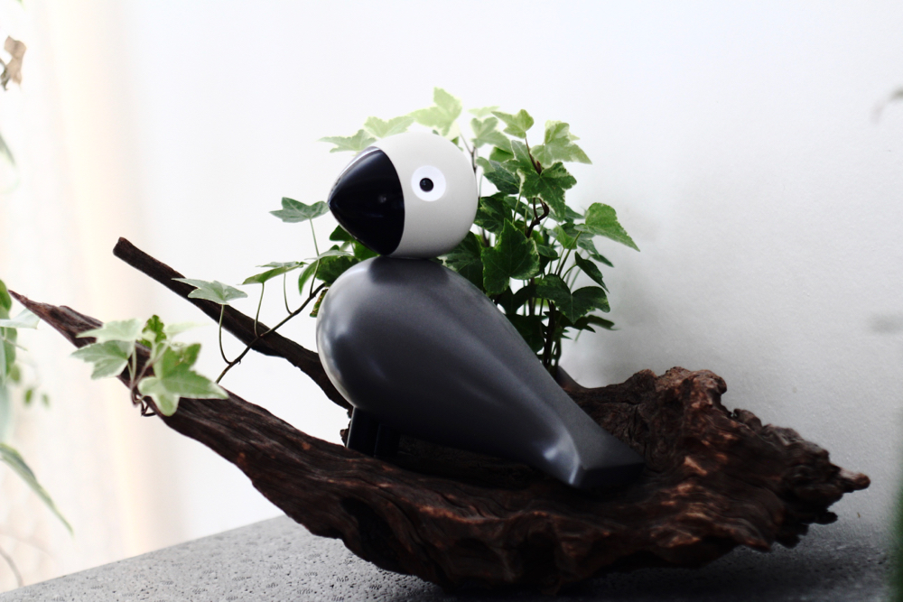 Oxygéner et décorer sa maison ou son appartement c'est possible en un seul coup grâce aux plantes purifiantes !