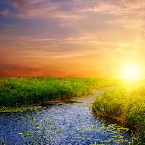 Estrella Blu 31. NADA MÁS LEJOS DE LA REALIDAD. Por Montserrat Cobas. Estrella Blu 31. NADA MÁS LEJOS DE LA REALIDAD. Por Montserrat Cobas.