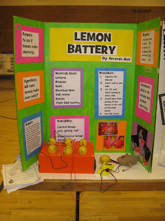 5th Grade Winner, Brinley, did a fabulous experiment with her dog. The
