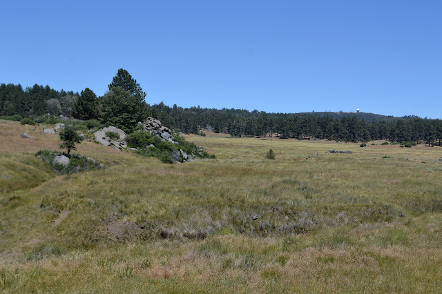 meadow and low peak