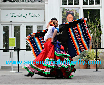 Calpulli Danza Mexicana performing outdoors at Frida Kahlo Art Garden Life Exhibition at The New York Botanical Garden